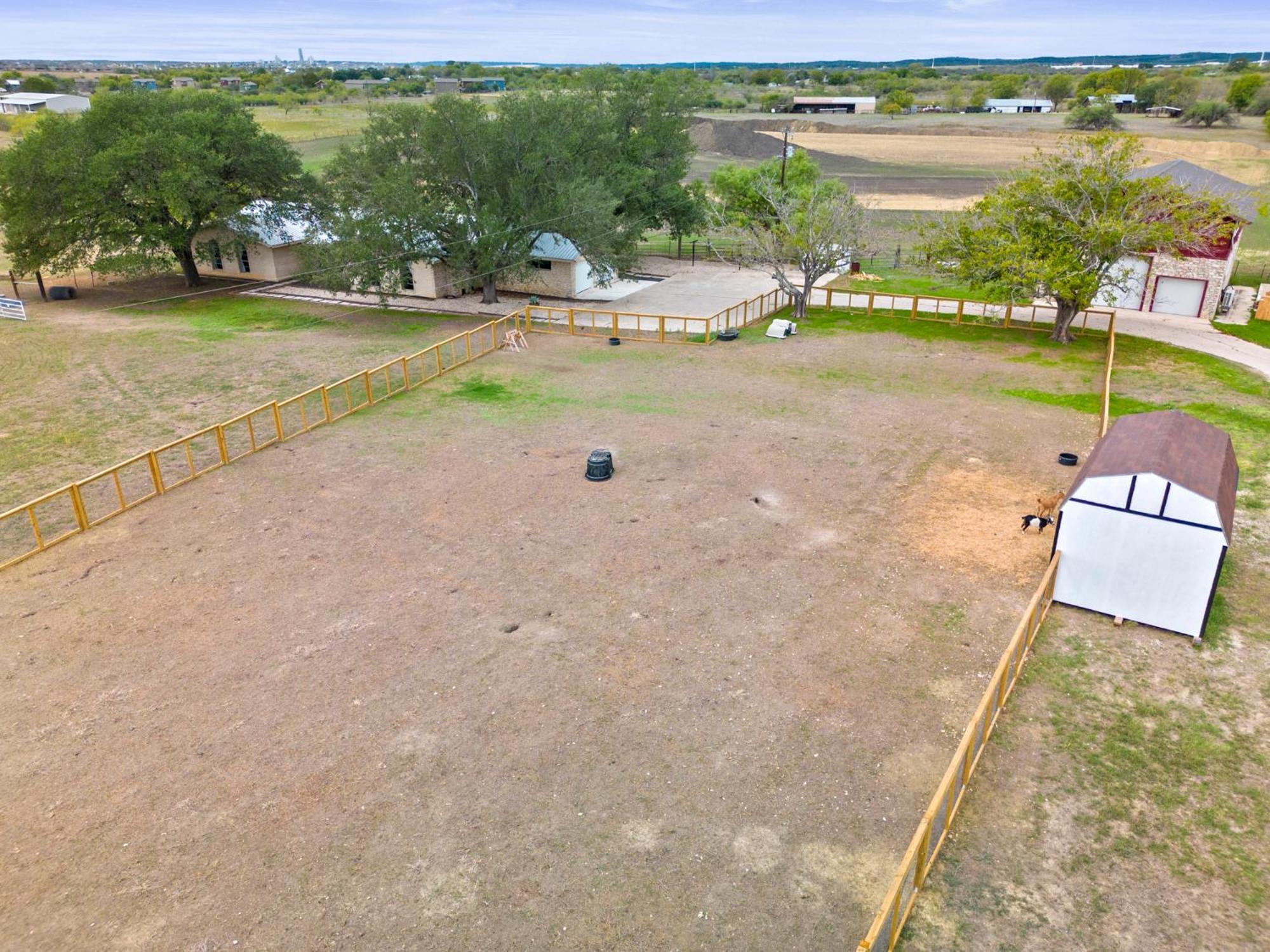 Farm Retreat With Jacuzzi, Fire Pit, Mini Goats, Mini Ponies And Mini Cows Villa San Marcos Ruang foto